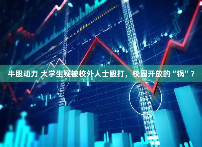 牛股动力 大学生疑被校外人士殴打，校园开放的“锅”？