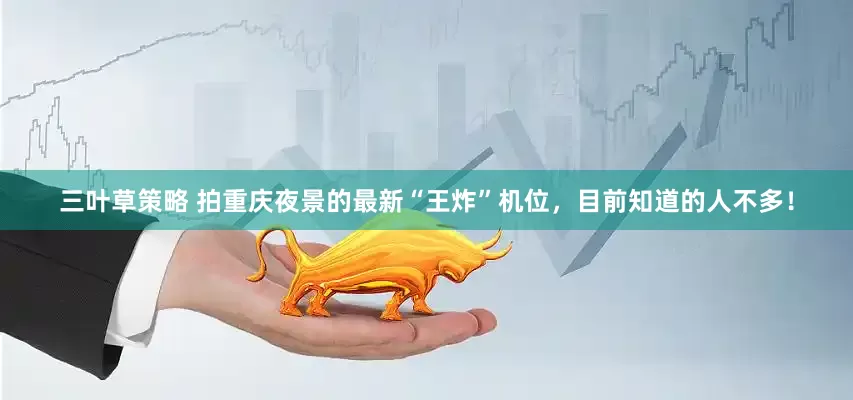 三叶草策略 拍重庆夜景的最新“王炸”机位，目前知道的人不多！