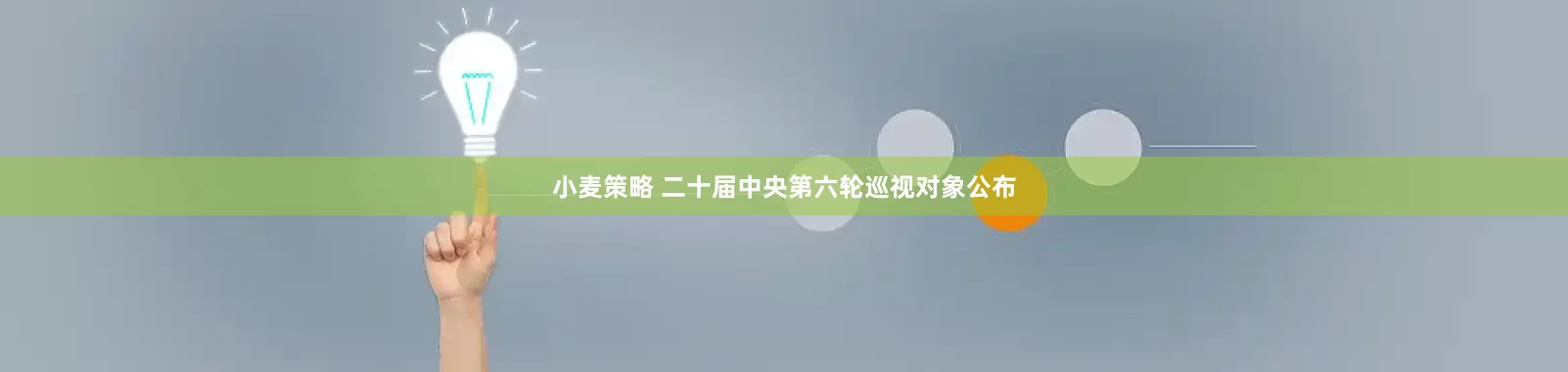 小麦策略 二十届中央第六轮巡视对象公布