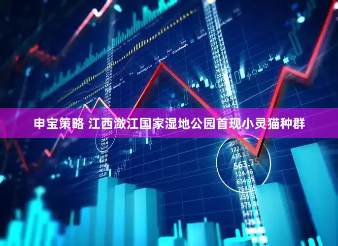 申宝策略 江西潋江国家湿地公园首现小灵猫种群