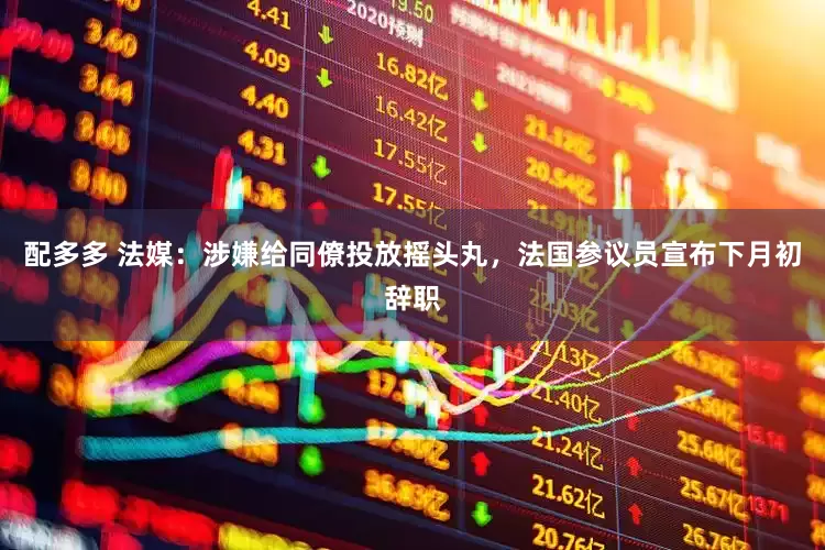 配多多 法媒：涉嫌给同僚投放摇头丸，法国参议员宣布下月初辞职
